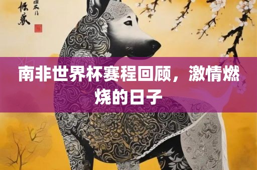 南非世界杯赛程回顾，激情燃烧的日子