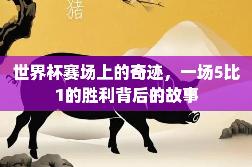 世界杯赛场上的奇迹，一场5比1的胜利背后的故事漯河市盈旭机械设备有限公司