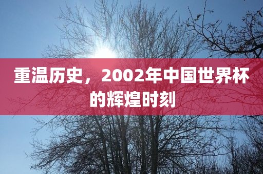重温历史，2002年中国世界杯的辉煌时刻漯河市盈旭机械设备有限公司