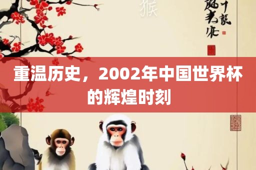 重温历史，2002年中国世界杯的辉煌时刻
