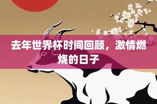 去年世界杯时间回顾，激情燃烧的日子漯河市盈旭机械设备有限公司