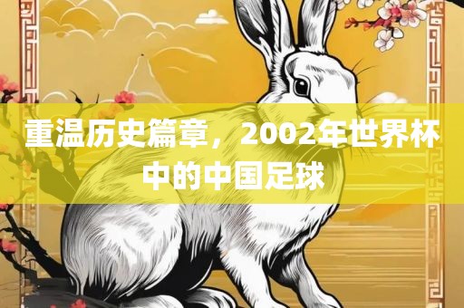 重温历史篇章，2002年世界杯中的中国足球漯河市盈旭机械设备有限公司