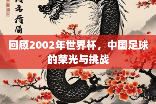 回顾2002年世界杯，中国足球的荣光与挑战