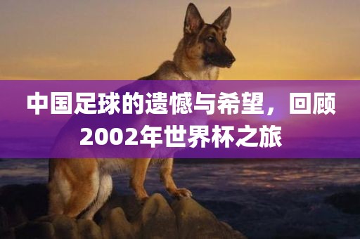 中国足球的遗憾与希望，回顾2002年世界杯之旅漯河市盈旭机械设备有限公司