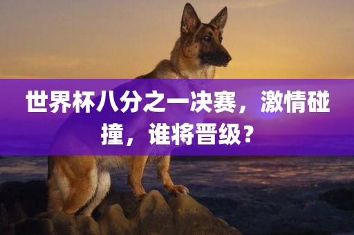 世界杯八分之一决赛，激情碰撞，谁将晋级？