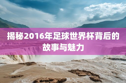 揭秘2016年足球世界杯背后的故事与魅力漯河市盈旭机械设备有限公司