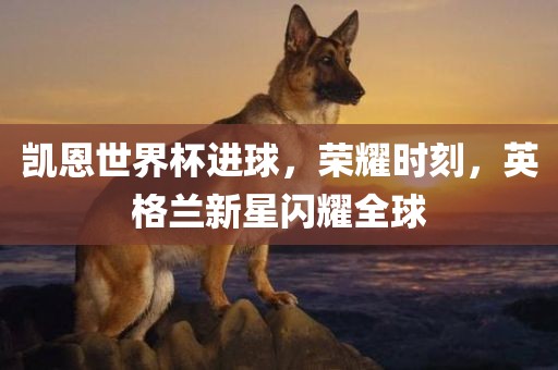 凯恩世界杯进球，荣耀时刻，英格兰新星闪耀全球
