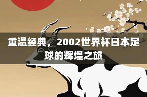 重温经典，2002世界杯日本足球的辉煌之旅漯河市盈旭机械设备有限公司