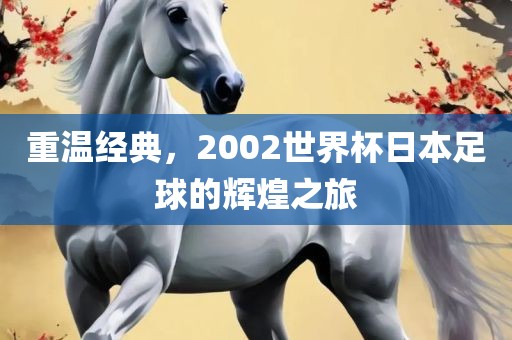 重温经典，2002世界杯日本足球的辉煌之旅漯河市盈旭机械设备有限公司