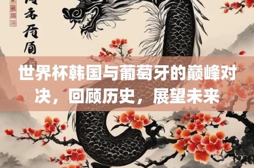 世界杯韩漯河市盈旭机械设备有限公司国与葡萄牙的巅峰对决，回顾历史，展望未来