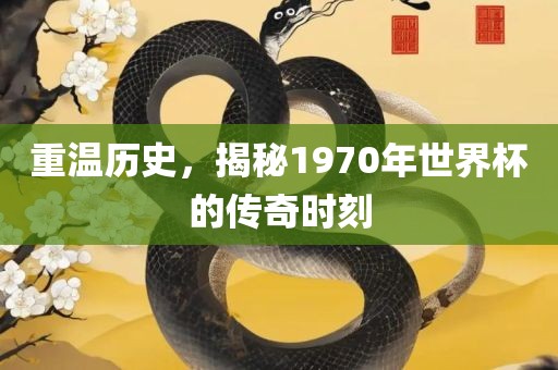 重温历史，揭秘1970年世界杯的传奇时刻漯河市盈旭机械设备有限公司