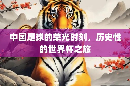 中国足球的荣光漯河市盈旭机械设备有限公司时刻，历史性的世界杯之旅