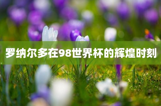 罗纳尔多在98世界杯的辉煌时刻
