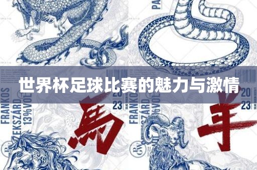 世界杯足球比赛的魅力与激情漯河市盈旭机械设备有限公司