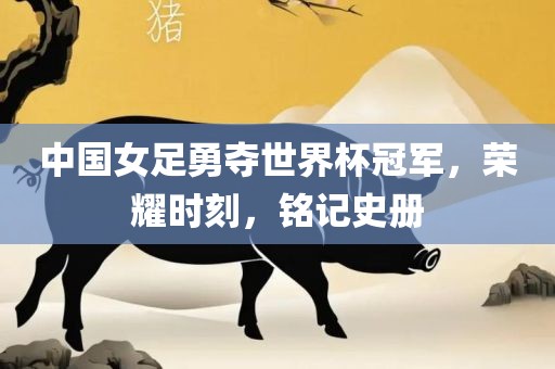 中国女足勇夺世界杯冠军，荣耀时刻，铭记史册漯河市盈旭机械设备有限公司