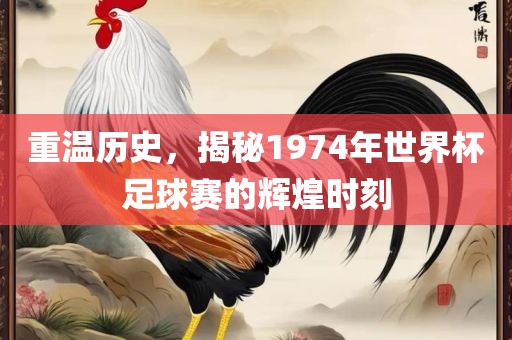 重温历史，揭秘1974年世界杯足球赛的辉煌时刻漯河市盈旭机械设备有限公司