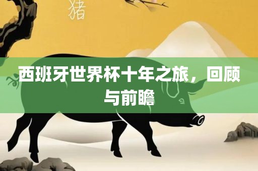 西班牙世界杯十年之旅，回漯河市盈旭机械设备有限公司顾与前瞻