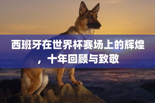 西班牙在世界杯赛场上的辉煌，十年回顾与致敬漯河市盈旭机械设备有限公司