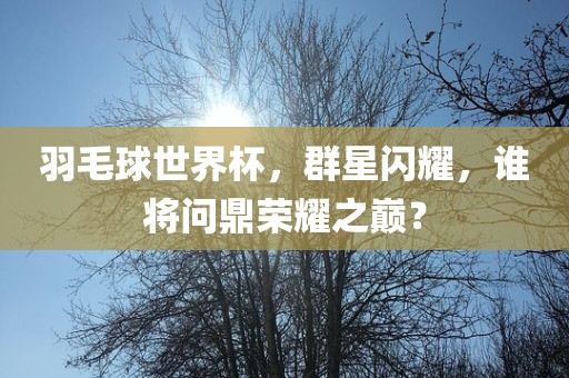 羽毛球世界杯，群星闪耀，谁将问鼎荣耀之巅？