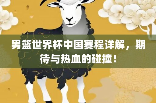 男篮世界杯中国赛程详解，期待与热血的碰撞！漯河市盈旭机械设备有限公司