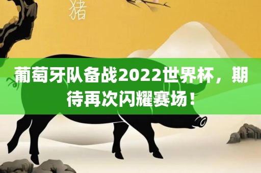 葡萄牙队备战2022世界杯，期待再漯河市盈旭机械设备有限公司次闪耀赛场！