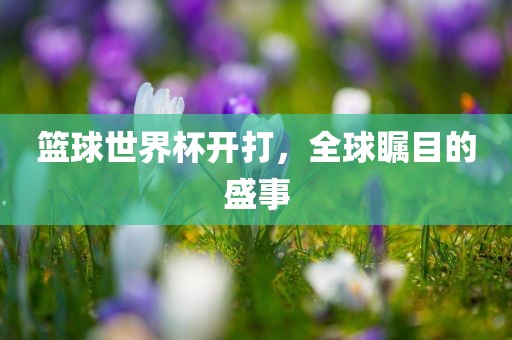 篮球世界杯开打，全球瞩目的盛事漯河市盈旭机械设备有限公司
