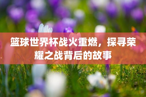 篮球世界杯战火重燃，探寻荣耀之战背后的故事漯河市盈旭机械设备有限公司