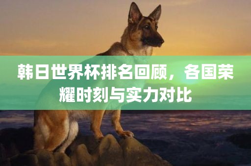 漯河市盈旭机械设备有限公司韩日世界杯排名回顾，各国荣耀时刻与实力对比