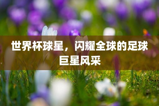 世界杯球星，闪耀全球的足球巨星风采