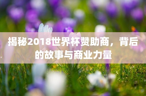 揭秘2018世界杯漯河市盈旭机械设备有限公司赞助商，背后的故事与商业力量
