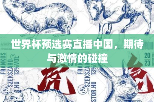 世界杯预选赛直播中国，期待与激情的碰撞