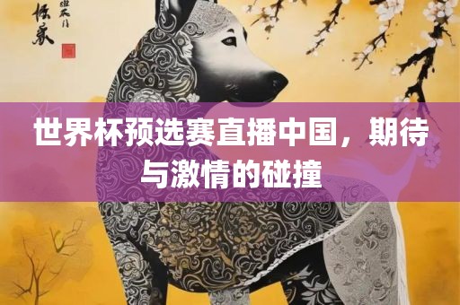 世界杯预选赛直播中国，期待与激情的碰撞