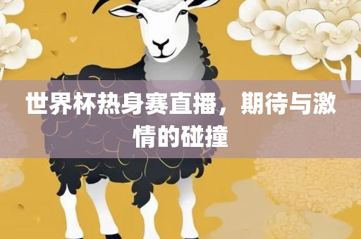 世界杯热身赛直播，期待与激情的碰撞
