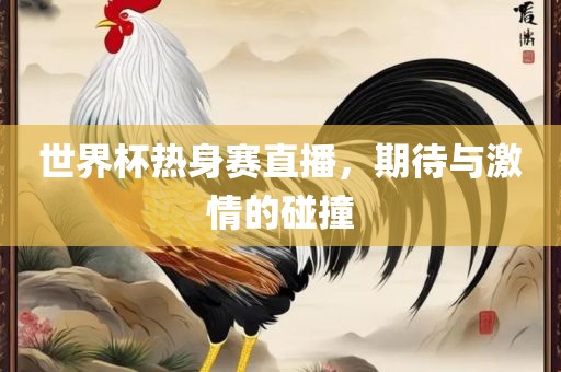 世界杯热身赛直播，期待与激情的碰撞