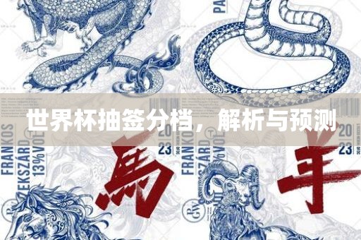 世漯河市盈旭机械设备有限公司界杯抽签分档，解析与预测