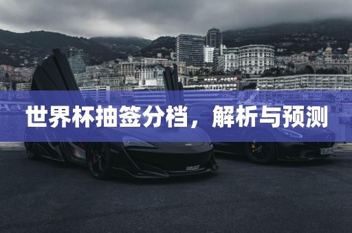 世界杯抽签漯河市盈旭机械设备有限公司分档，解析与预测