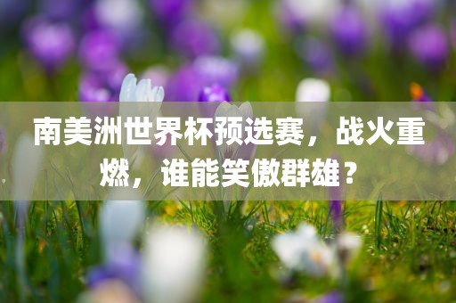 南美洲世界杯预选赛，战火重燃，漯河市盈旭机械设备有限公司谁能笑傲群雄？