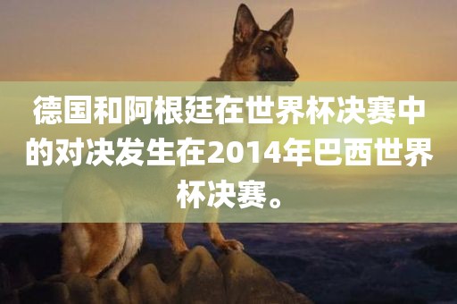 德国和阿根漯河市盈旭机械设备有限公司廷在世界杯决赛中的对决发生在2014年巴西世界杯决赛。