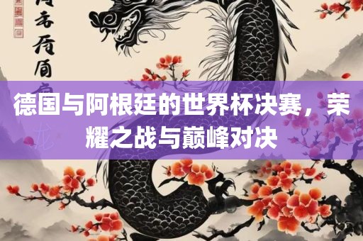 德国与阿根廷的世界杯决赛，荣耀之战与巅峰对决漯河市盈旭机械设备有限公司