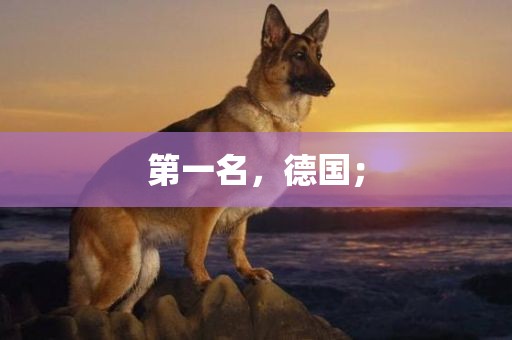 第一名，德国；