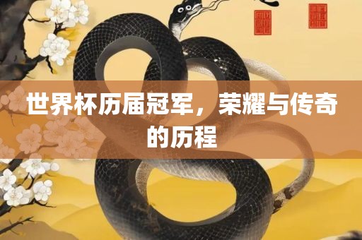 世界杯历届冠军，荣耀与传奇的历程