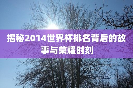 揭秘2014世界杯排名背后的故事与荣耀时刻