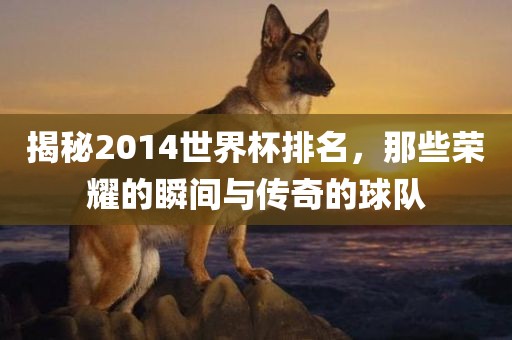揭秘2014世界杯排名，那些荣耀的瞬间与传奇的球队漯河市盈旭机械设备有限公司