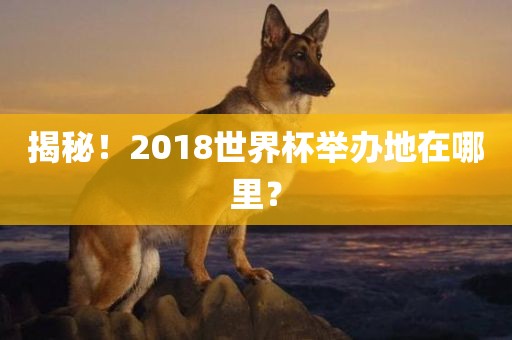 揭秘！2018世界杯举办地在哪里？