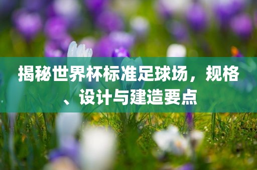 揭秘世界杯标准足球场，规格、设计与建造要点漯河市盈旭机械设备有限公司