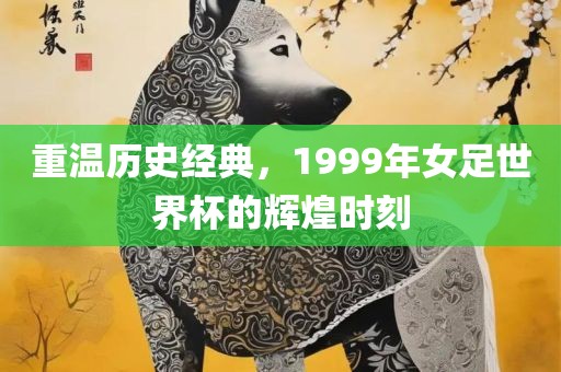 重温历史经典，1999年女足世界杯的辉煌时刻