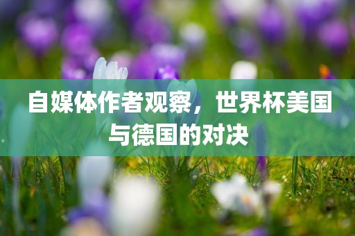 自媒体作者观察，世界杯美国与德国的对决漯河市盈旭机械设备有限公司
