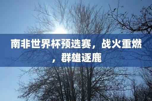 南非世界杯预选赛，战火重燃，群雄逐鹿漯河市盈旭机械设备有限公司