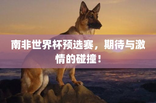 南非世界杯预选赛，期待与激情的碰撞！漯河市盈旭机械设备有限公司