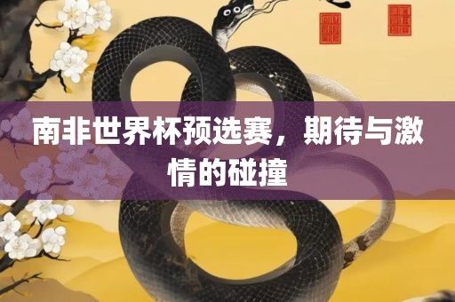 南非世界杯预选赛，期待与激情的碰撞